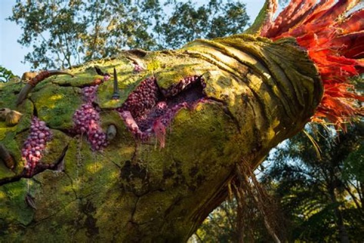 Seven Ways To Have Fun In Pandora – The World of Avatar (Aside From Attractions)